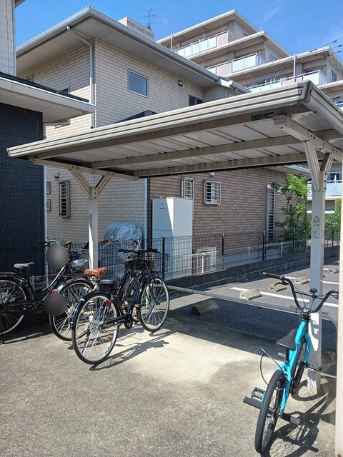 アムール その他5