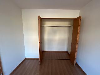 ルピナス・彩 その他2