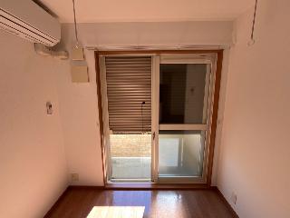 ルピナス・彩 その他7