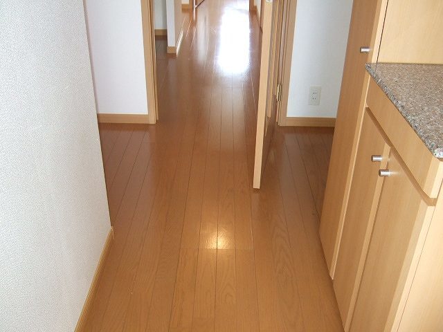 シイナハイツⅡ 玄関