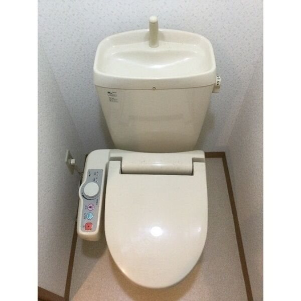 ルネス・レガート その他1