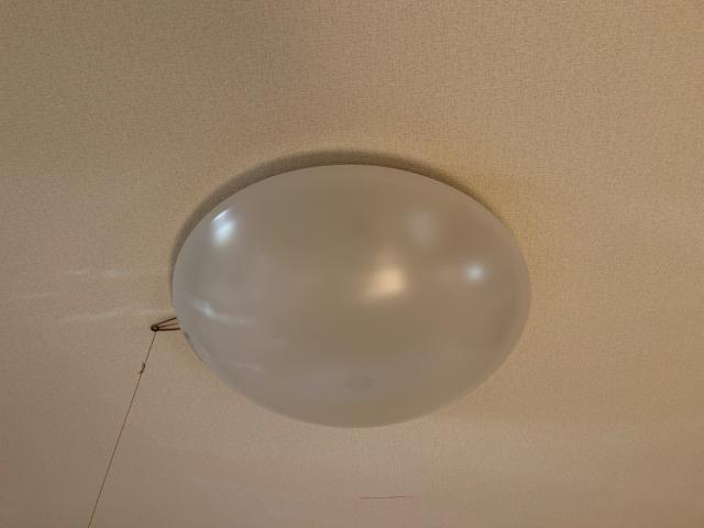 ライラック その他12