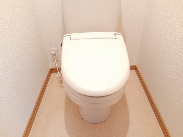 Ｚｅｐｈｙｒ　ゼファー その他3