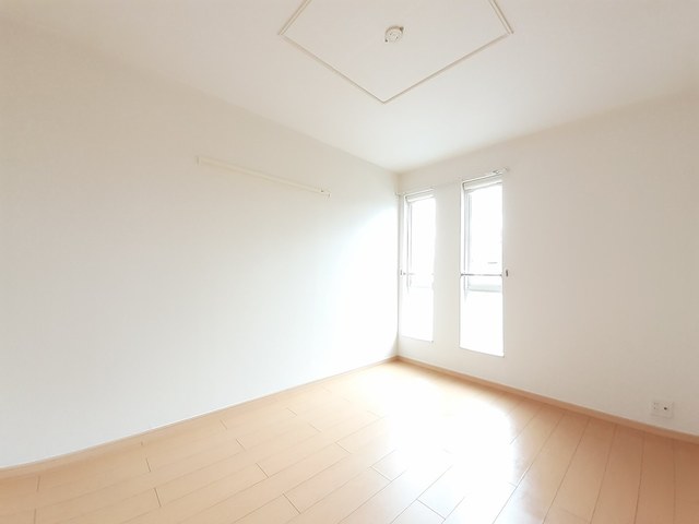 プラシードＤ その他1