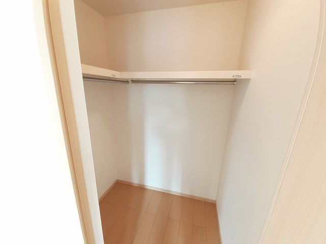 プラシードＤ その他2