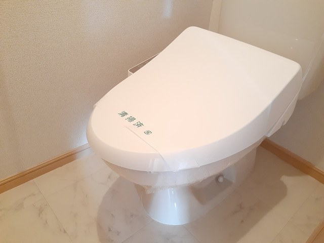 プラシードＤ その他3