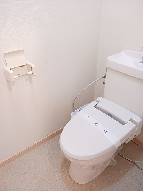 フランボワーズＧ その他4