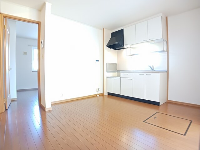 ラフレシールＡ その他1