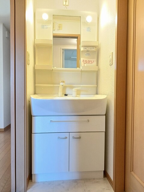 ラフレシールＡ その他2