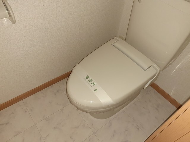 ラフレシールＢ その他3