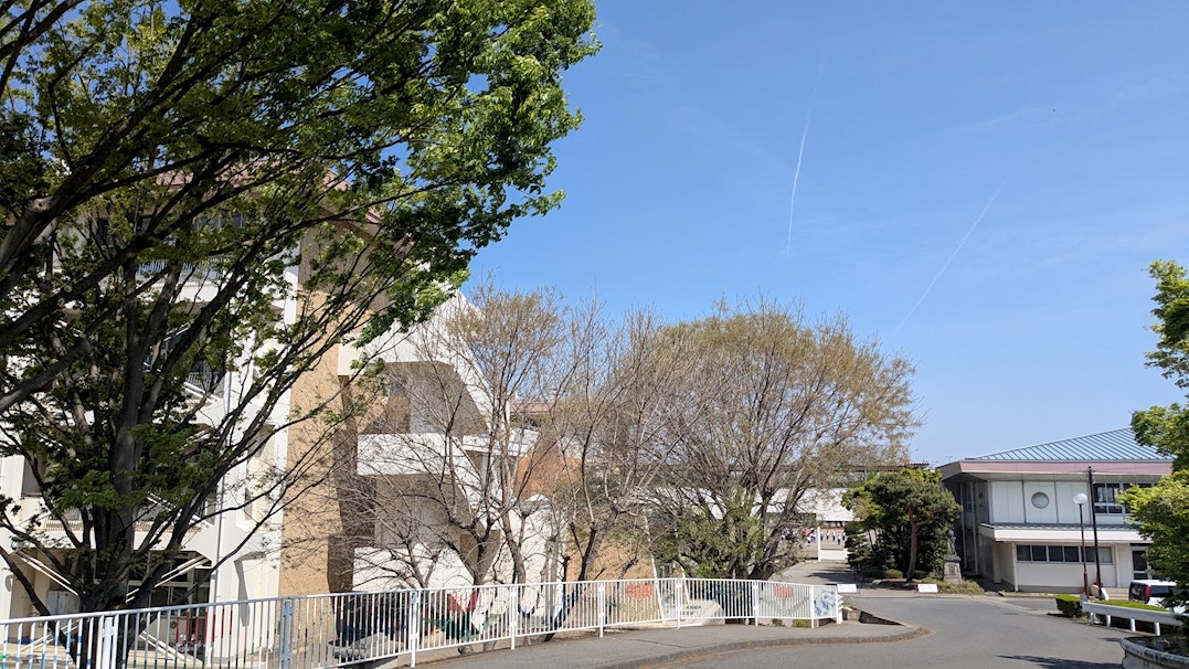 松島ハイツ 周辺画像6