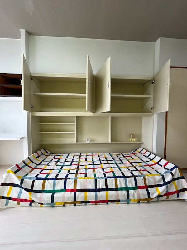 パセオ   その他10