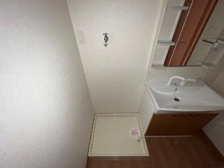 ルピナス・彩 その他10