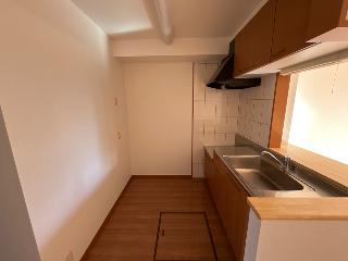 ルピナス・彩 その他11