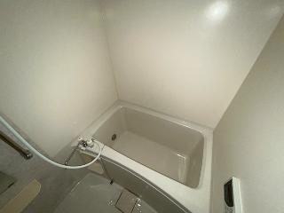 ルピナス・彩 その他14