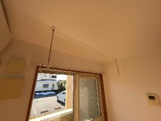 ルピナス・彩 その他15