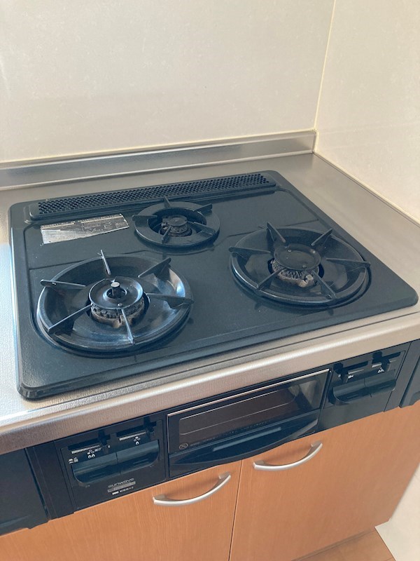 RESIDENCE ALTAⅡ(レジデンスアルタ) その他14