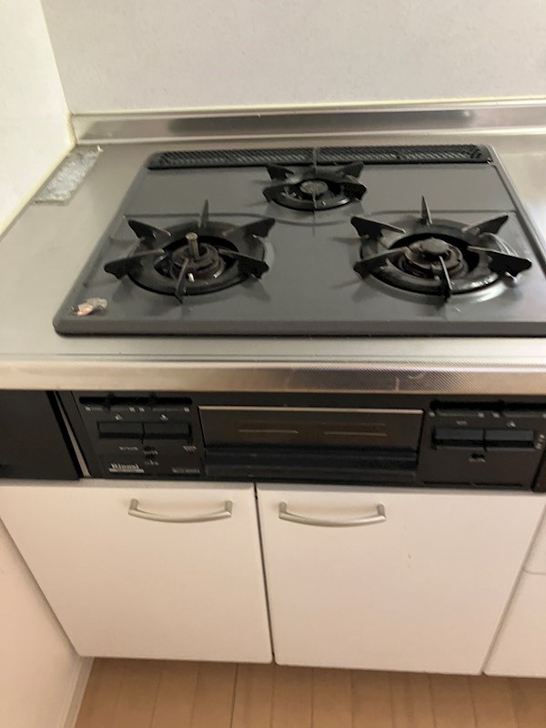 パレス・ド・ルミーネ その他8