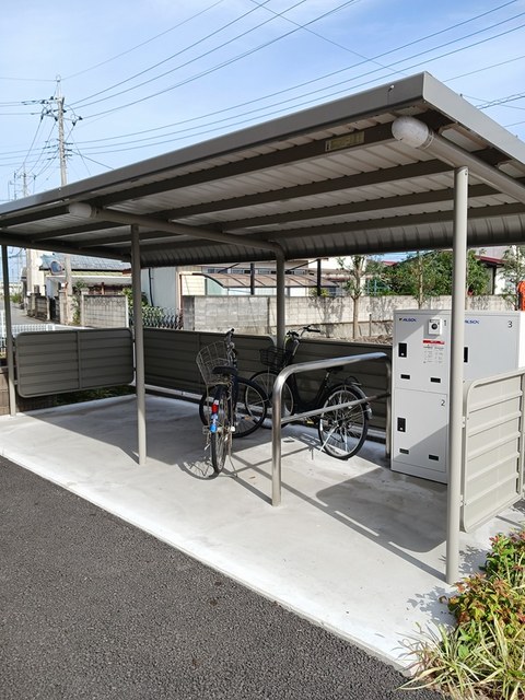 コスモス その他5