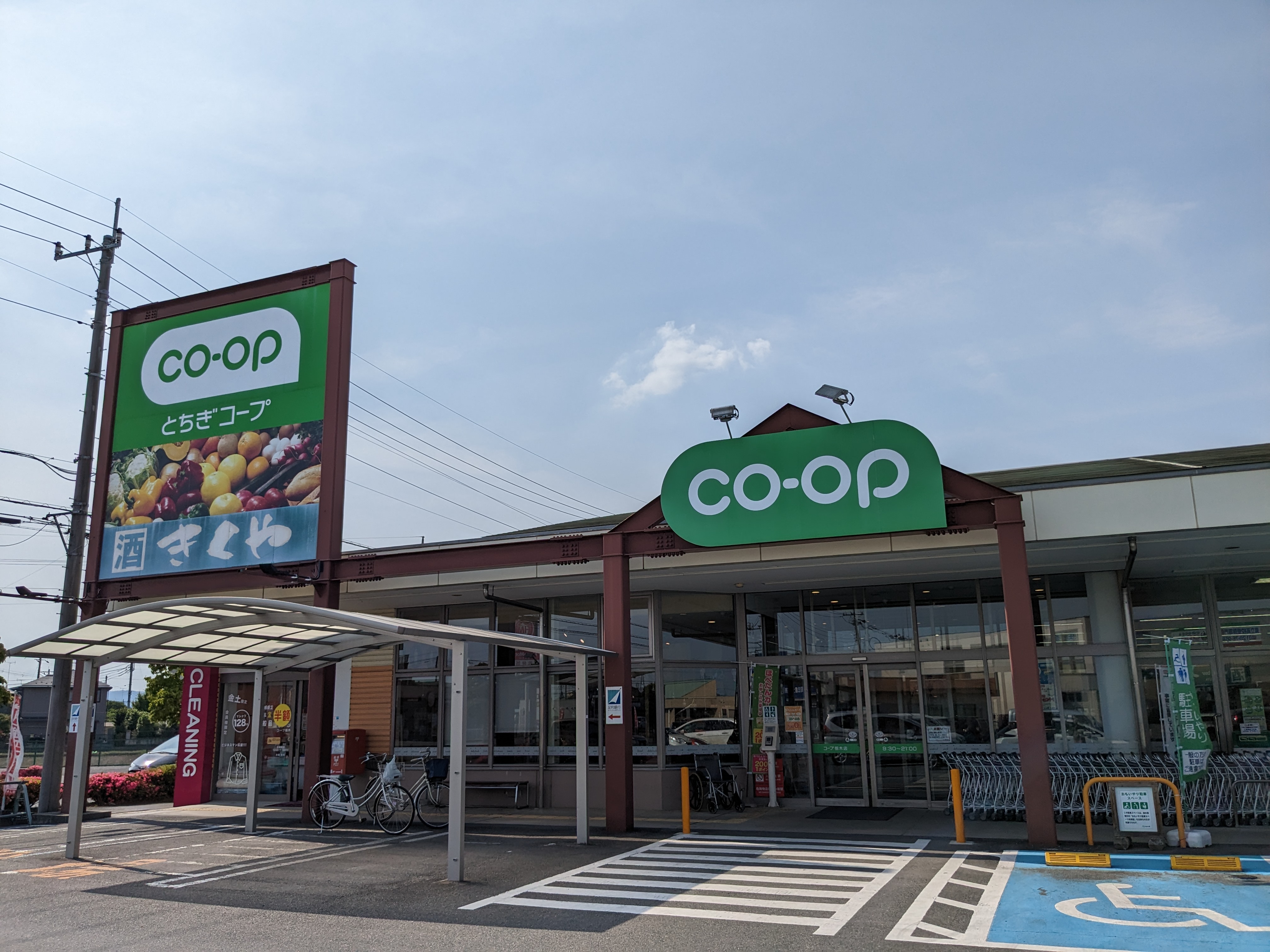 コスモス 周辺画像2