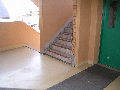 ネオニシキ その他4