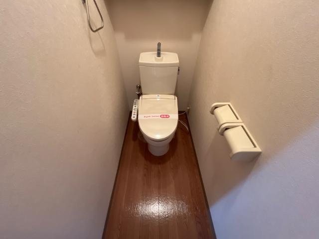 パーシモン その他3