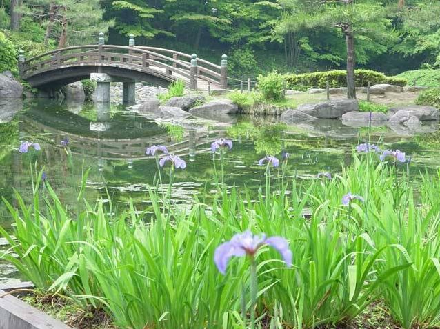 パークハイム中一の沢 周辺画像8