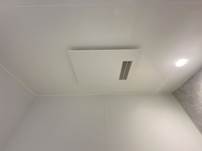 D-Radiante その他24