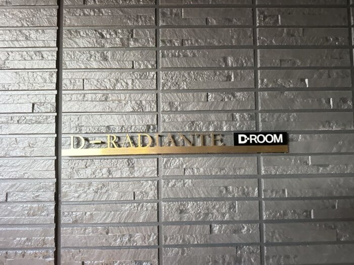 D-Radiante その他12