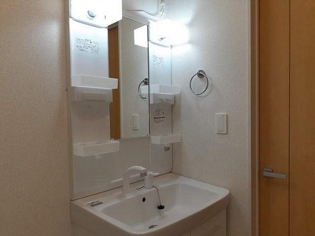 シャンドフルールⅢ その他1