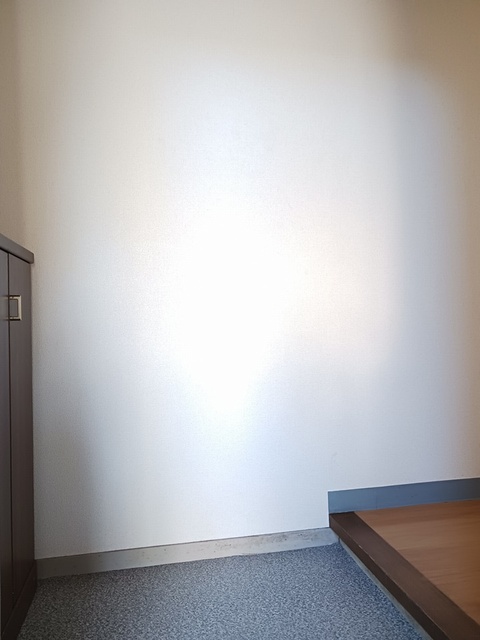 ロイヤルパレス恩田 玄関