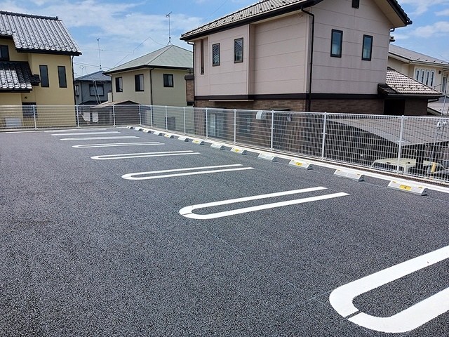 カトレア その他5