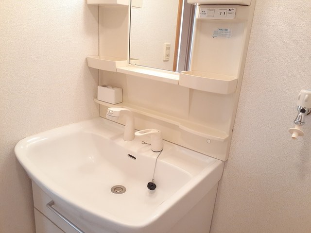 ラフレシールＢ その他2