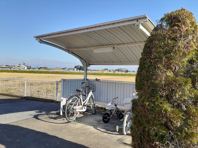 ブルック石川 その他