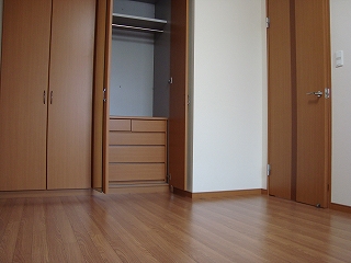 ゴールド　エクスペリメント 収納