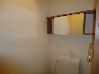 ゴールド　エクスペリメント 収納