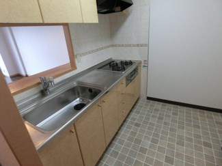 ナイスアーバン御幸本町  キッチン