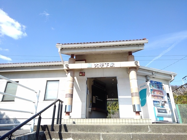 イスラ　フェリス その他