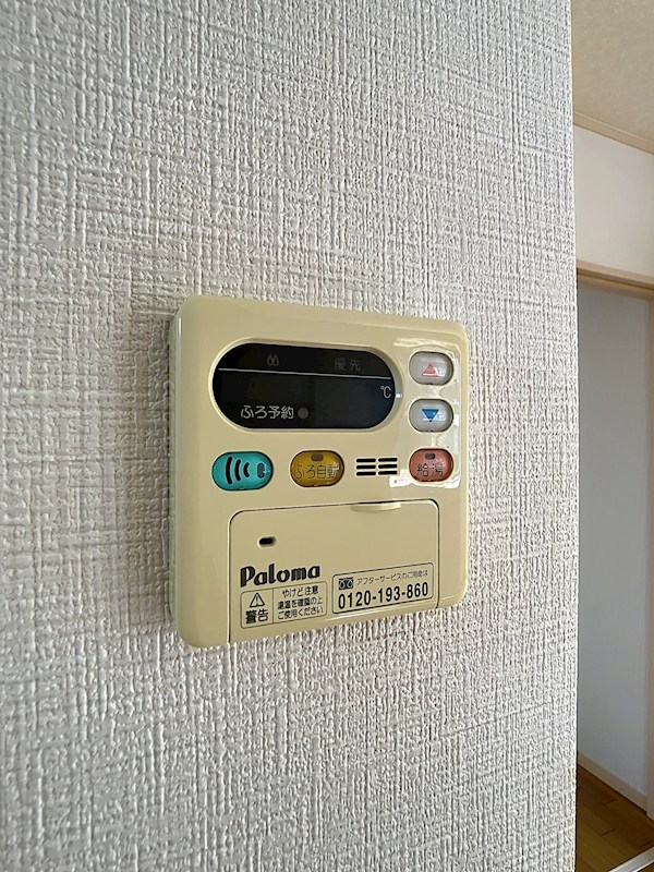 リシャールⅠ その他
