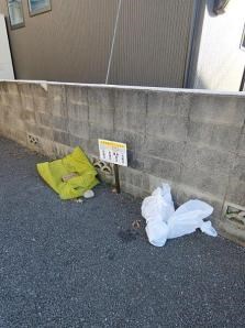 さくらコーポB その他