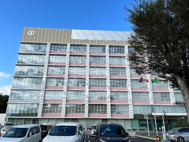 ハレラウレア その他