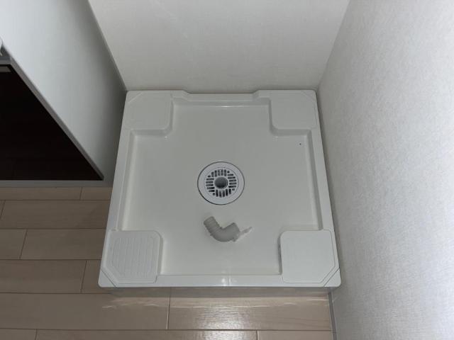 ハレラウレア その他