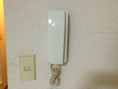 ヴィラウェリタス セキュリティ