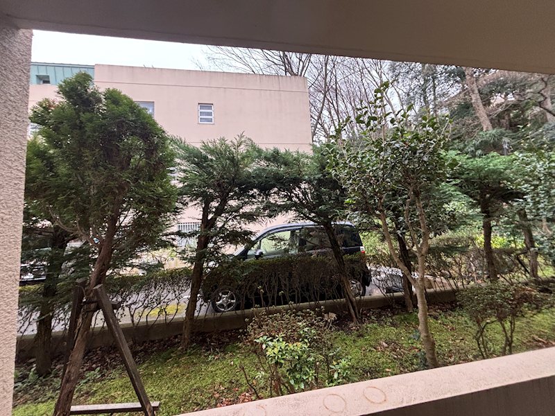 フロレスタ大倉山壱番館 眺望