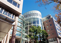 ベルヴュ日吉 大学・短大