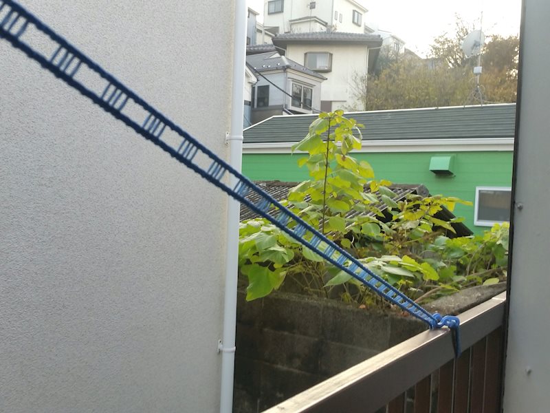 グリーンハウス綱島 眺望