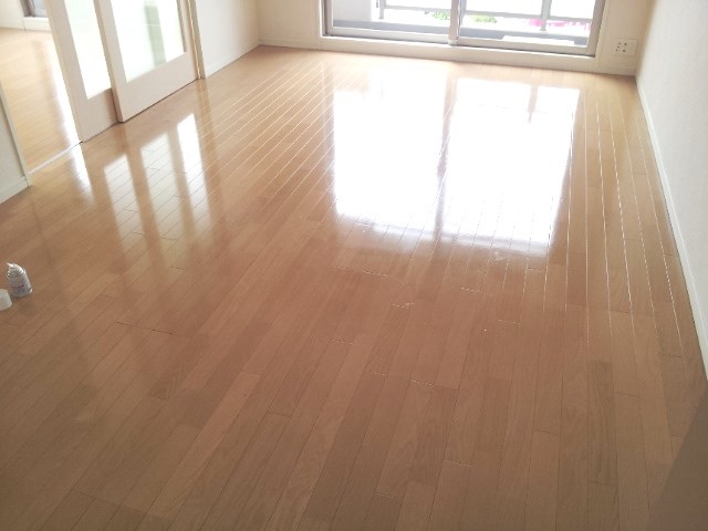 クラッサ元住吉 リビング