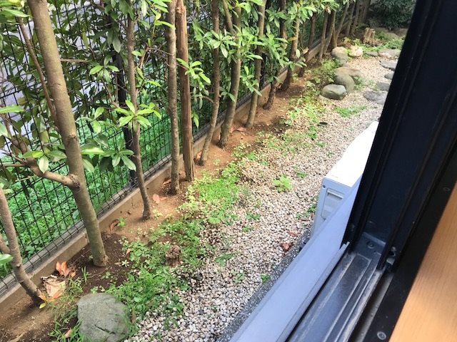 フローラスクエア ベランダ