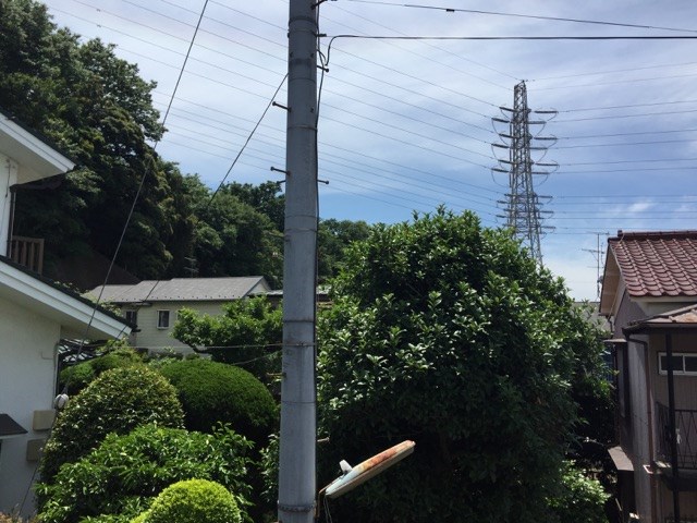 小菊荘 眺望