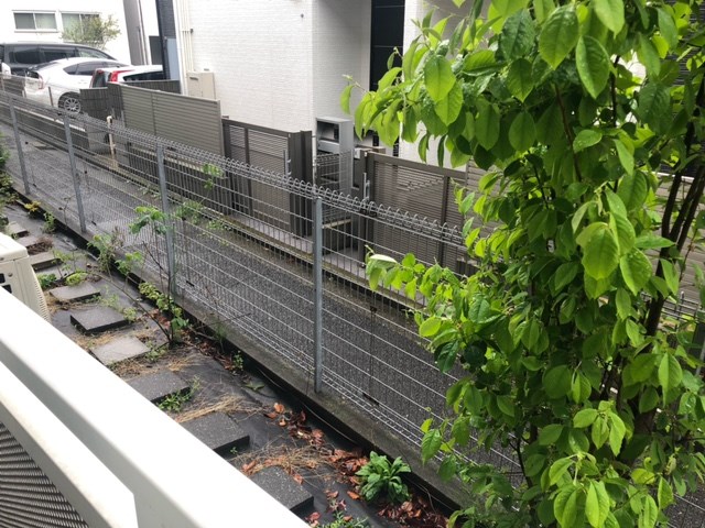 柊舎 ベランダ